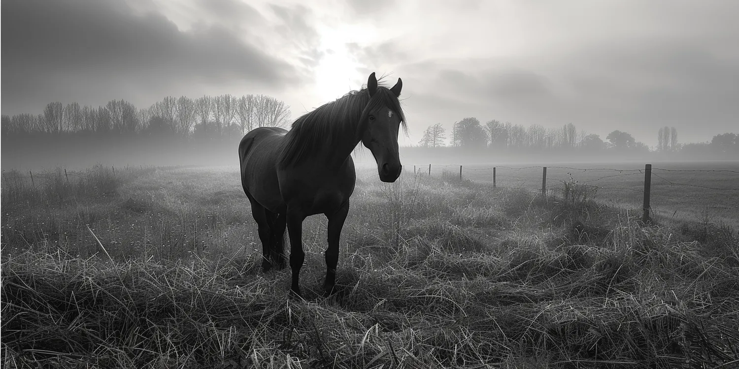 Krematorium przystosowane do zwierząt