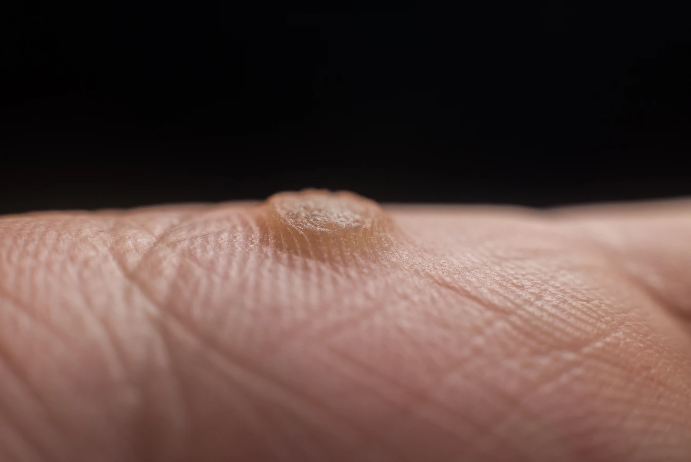 Podolog czym się zajmuje?